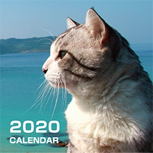 新日本カレンダー　2020年度名入れカレンダー